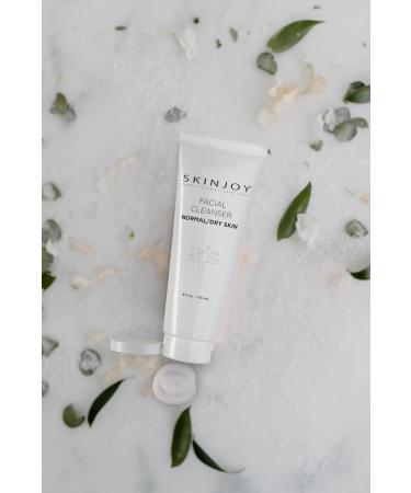 Gentle Facial Cleanser for Normal & Dry Skin | Gluten-Free Paraben-Free Sulfate-Free Face Wash - 4 fl oz - Buy Online on GoSupps.com