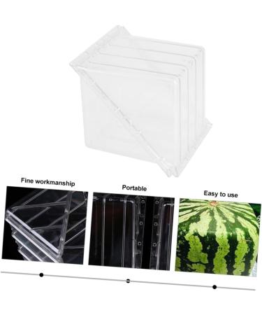 OSALADI Tools Pumpkin Watermelon Shaping Mold Fruit Forming Mold Vegetable Stereotypes Gardening Supplies 15x15cm Transparent - Buy Online on GoSupps.com