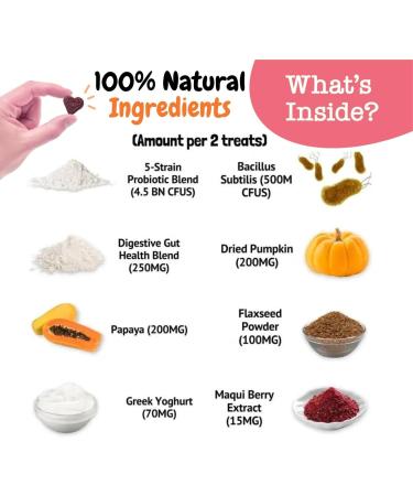 Pre Pro & Postbiotics For Dogs - Digestive Treats - Optimal Gut Health Resolving Issues with Sensitive Tummies Anal Gland Concerns and Itchy Ears-120 Chews Duck Flavor (120 Chews Duck Flavor) - Buy Online on GoSupps.com