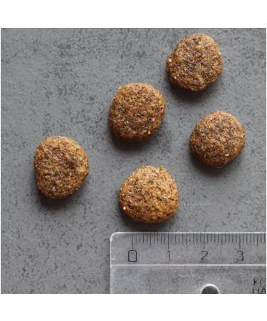 Akinu Vitality Dry Dog Food for Medium Breeds with Chicken and Beef 12 kg - High Protein Dry Food for Medium Breed Dogs Gluten Free Grain Free Easy to Eat - Buy Online on GoSupps.com