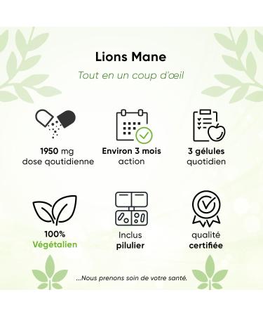 Lions Mane - 1950 mg per day - 240 capsules - extract 30:1 ( 19 500 mg Hericium Erinaceus per capsule) - with pill box - 30% polysaccharides - 5% beta glucan - vegan - high dose - Buy Online on GoSupps.com