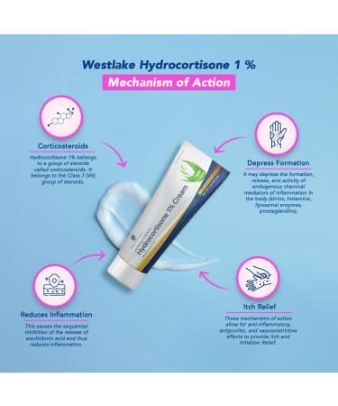 Westlake Anti-Itch Cream with Aloe & Hydrocortisone 1% - Relief for Bug Bites Eczema Psoriasis Poison Ivy (2-Pack) - International Shipping - Buy Online on GoSupps.com