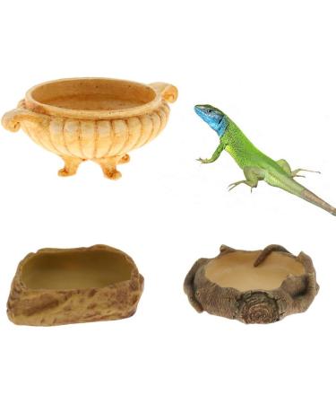 Perfk Terrarium Drinking Bowl - Type 1 Water Bowl for Pets | International Shipping Available - Buy Online on GoSupps.com