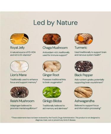 Dr Sosnowski's NeuroBee Brain Supplements with Royal Jelly, Lion's Mane + Reishi Mushroom | Energy, Mental Performance + Cognitive Function Support, 60ct - Buy Online on GoSupps.com