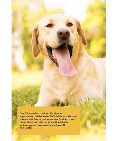 Canimove Immune Maxi Savings Package - 300 Capsules for Dog Immune Support | CAD SLO IBD Relief - Buy Online on GoSupps.com