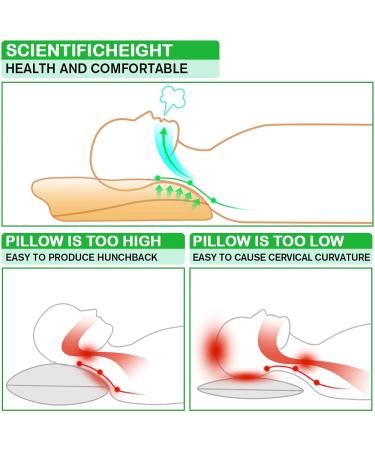Cervical Memory Foam Contour Pillow for Neck Pain Relief - Orthopedic Support for Side, Back, and Stomach Sleepers - Includes Replaceable Pillowcase - Buy Online on GoSupps.com