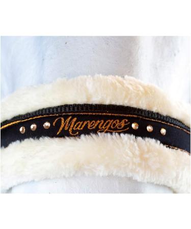 Shop Marengos Halter Set with Lead Rope - Elegant Black/Rose Gold for Warmbloods | International Shipping Available - Buy Online on GoSupps.com