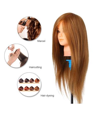 100% Real Hair Training Heads for Hairdressers | Professional DIY Hairstyle Practice Set - Buy Online on GoSupps.com