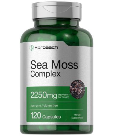Horb ach Sea Moss Complex Capsules | 2250mg | 120 Count | Complex Formula with Bladderwrack & Burdock Root | Non-GMO & Gluten Free Supplement
