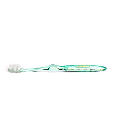 Nano -B silver toothbrush - soft antibacterial bristle - adult child - perfect for sensitive teeth gums - sensitive teeth - storage box - crystal design handle