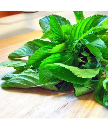 Spearmint Moroccan mint leaves 50g all natural Mentha spicata var. cripsa Dried loose Leaves. - Buy Online on GoSupps.com