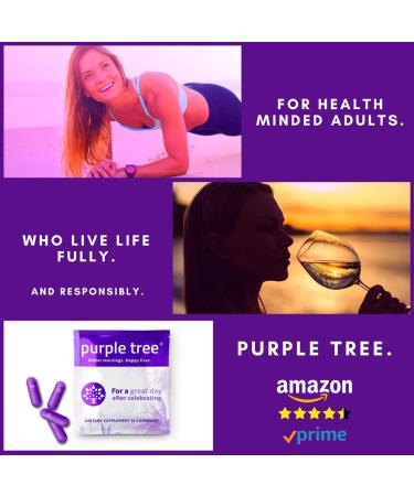 Purple Tree Celebration Vitamin Kit | Rapid Hydration & Liver Support | DHM, Milk Thistle, Electrolytes, Vitamin B & Willow Bark | 40 Pills, 10 Travel Packs - 40 Count - Buy Online on GoSupps.com
