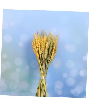 HOMSFOU 1 Dried Flowers Flower Basket Wheat - Buy Online on GoSupps.com