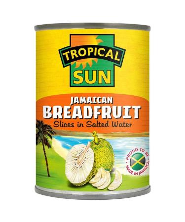 SKTropical Sun Jamaican Breadfruit 540g Case of 6