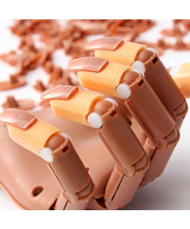 Kyerivs 200 Pcs Brown Acrylic False Nails Tips for Hand Practice | Removable Training Manicure Tools & Accessories - Buy Online on GoSupps.com