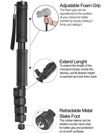 Acuvar 62 Inch Monopod with Safety Strap - Ideal for Digital Cameras, DSLRs, Mirrorless - 4 Section Extending Pole - Buy Online on GoSupps.com