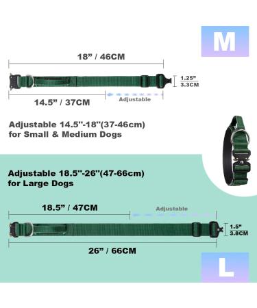 Tspro Premium Adjustable Dog Collar with Handle - Heavy-Duty Metal Buckle for Small to Extra Large Dogs (Size M 37-46cm) - Silver - Buy Online on GoSupps.com