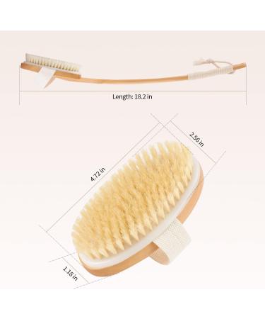 Shower Back Brush - 18.2 inch Long Handle Bath Brush with 2 Heads for Men and Women - Stiff and Soft Bristles Back Scrubber - Buy Online on GoSupps.com