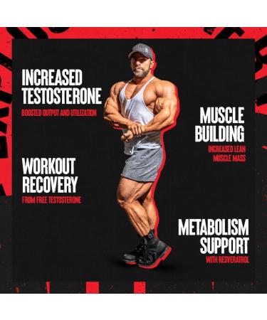 Animal Test Testosterone Booster 21 Day Cycle & M-Stak Hard Gainer Muscle Building Stack 21 Count - Buy Online on GoSupps.com