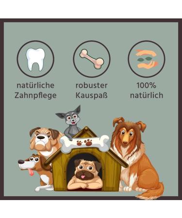 BV Petcare Coffee Wood Chewing Bones - Natural Dog Toy Set (3 Pieces) for Dogs up to 45 kg - Eco-Friendly & Durable - Buy Online on GoSupps.com