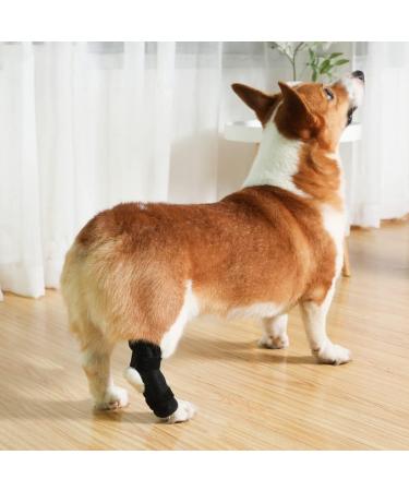 Dog Knee Brace 2-Pack Dog Leg Brace with Bimetallic Spring Bars Canine Rear Hock Support Protects Wounds Heals and Prevents Injuries and Sprains Helps with Loss of Stability Caused by Arthritis (M) - Buy Online on GoSupps.com