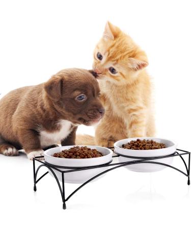 Y YHY Raised Cat Bowls 12oz Elevated Cat Food and Water Bowls with Stand Raised Pet Feeder Elevated Food Feeding Dishes for Cats or Dogs Dishwasher Safe Gift for Cats Dia 4.8in/White 12oz | 354ml White - Buy Online on GoSupps.com