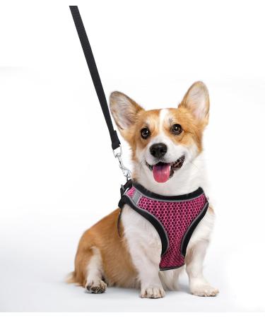 Ankilo Upgraded Harness with Leash Set Escape Proof Dog Vest Harnesses Vest Harnesses with Soft Mesh and Reflective Bands No Pull Small Dog Harness for Cats and Small Dogs (Rose-red S) - Buy Online on GoSupps.com