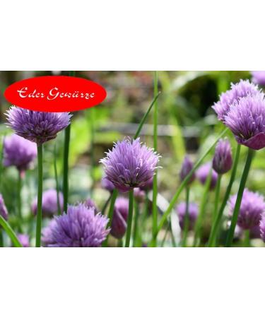 Eder Gew rze - Ciboulette - 1kg - Buy Online on GoSupps.com