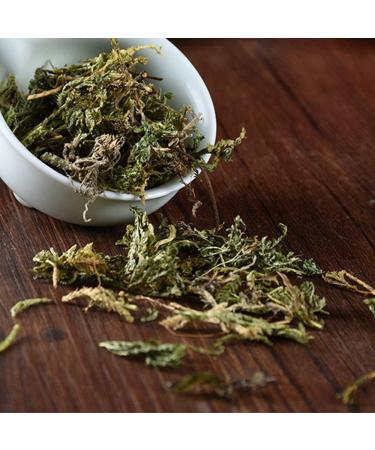 Herba Selaginellae Doederleinii Selaginella Doederleinii Hieron Greater Selaginella Selaginella Doederlein's Spikemoss Herb The Doederlein's Spikemoss Herb shishangbai (8 oz) - Buy Online on GoSupps.com