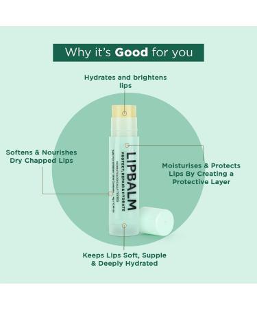 Bella Vita Organic Lip Balm 2 Pack - Hydrate & Protect Dry Lips | Unisex Pre Smoke & Pre Lipstick Balm | 7 gm Each - Buy Online on GoSupps.com
