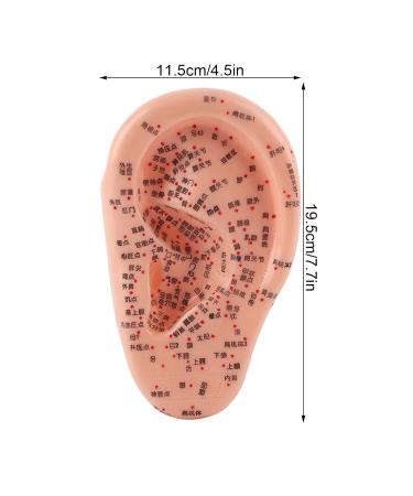Buy Anggrek Ear Acupuncture Model - Effective Ear Massage & Acupuncture Points Kit for Home Use - International Shipping Available - Buy Online on GoSupps.com