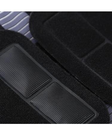 Back Support Belt Lumbar Brace for Pain Relief | Ergonomic Waist Support for Men & Women - XX-Large Gray - Buy Online on GoSupps.com