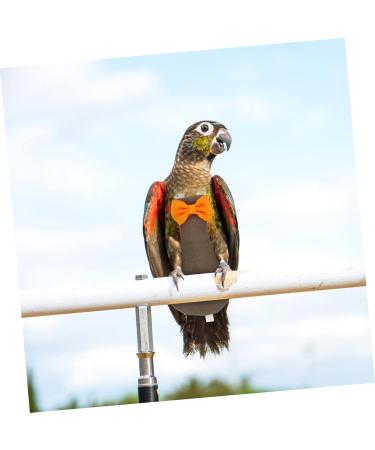 PopetPop 3-Pack Flying Bird Diapers for Parrots | Cotton Pet Bird Costumes & Parasite Protection - 12x6cm - Buy Online on GoSupps.com
