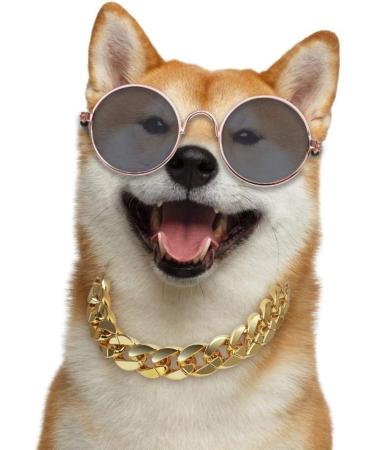 JETTINGBUY Pet Accessories: Cat & Dog Glasses, Necklaces, Photo Props - 6 Piece Set - Buy Online on GoSupps.com