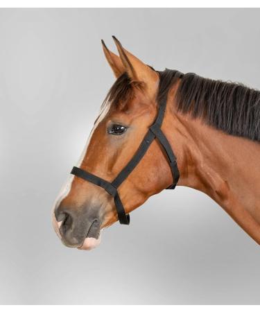 Waldhausen Thoroughbred Black Pasture Halter - Premium Quality International Shipping - Buy Online on GoSupps.com