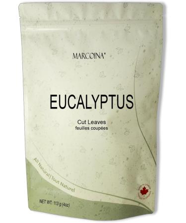 Eucalyptus Herbal Tea Pure Loose Leaves by Marcoina - Cut Leaves 113g in Resealable Bag Caffeine-Free Tea from Turkey - Perfect for Hot Brews Known as Eucalyptus Feuille Eucalipto Eucaliptus globulus - 4oz. EUCALYPTUS Leaves Cut 113-g. / 4-oz. - Buy Online on GoSupps.com