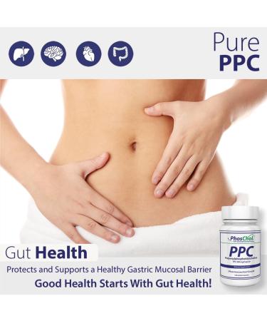 Buy PhosChol PPC 900mg - Polyenyl PhosphatidylCholine Choline Supplement | 100 Gelatin Capsules | International Shipping Available - Buy Online on GoSupps.com