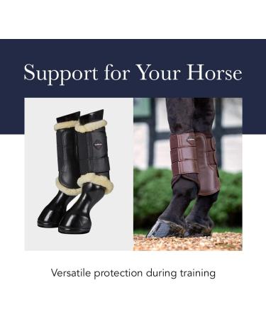 LeMieux Unisex Mesh Brush Boots X-Large Black - Premium Horse Gear for All-Weather Protection | Shop Internationally at Your Store Name  - Buy Online on GoSupps.com