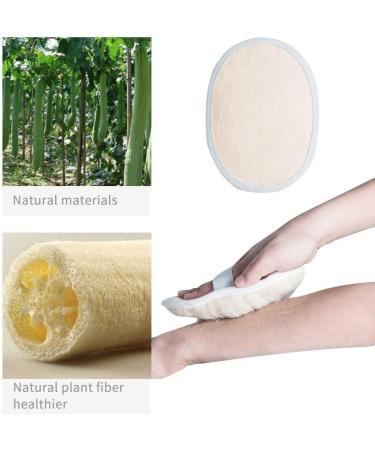 Ithyes Shower Brush - Soft & Stiff Bristles for Wet/Dry Use | Natural Wood Long Handle Body Brush | Double-Sided Luffa & Massage Your Skin - Buy Online on GoSupps.com