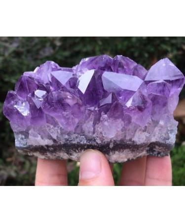 Natural Crystal Rough 150g Natural Amethyst Beautiful Purple Quartz Geode Crystal Cluster Specimen - Buy Online on GoSupps.com