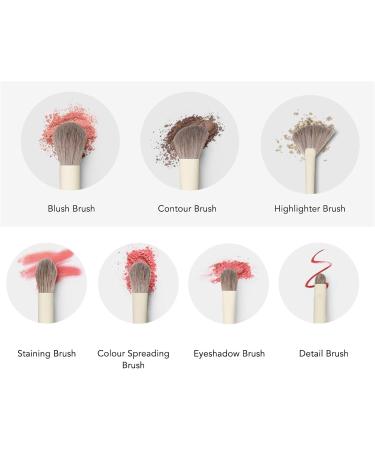 Makeup Brush Set Soft Bristles Powder Eye Shadow Brush for Cosmetic - Buy Online on GoSupps.com