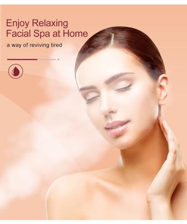 Professional Facial Steamer for Deep Cleaning and Skin Care - Home Spa Warm Ionic Mist Atomizer for Women - Unclog Pores, Moisturize, and Sinus Relief - Includes Bonus Hairband and Stainless Steel Kit (White/Silver) - Buy Online on GoSupps.com