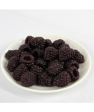 HEMOTON 40 Pcs Simulation Fruit Model Raspberries Models Fake Fruit Artificial Raspberry Simulated Fruit Adornment Imitation Fruit Ornaments Toy Wild Strawberries Pvc Child - Buy Online on GoSupps.com