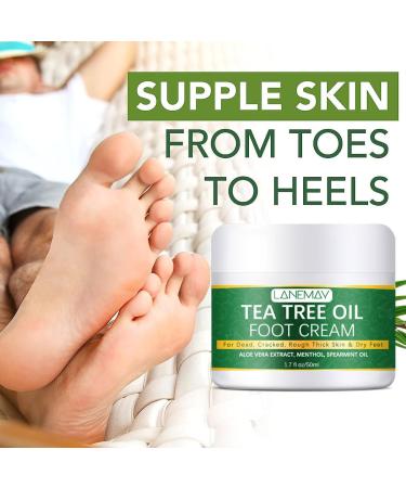 Tea Tree Oil Foot Cream for Cracked Rough Dead & Dry Skin Intensive Moisturizes & Softens Skin With Aloe Vera Cracked Heel Feet Foot Balm Skin Care Moisturizing Lotion for Men and Women - Buy Online on GoSupps.com