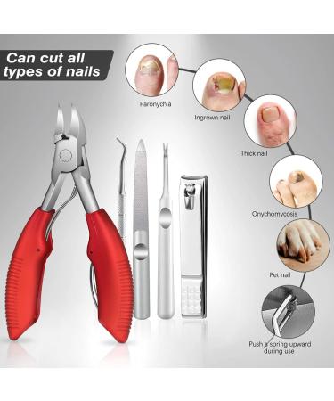 Herbst Toenail Clippers for Thick or Ingrown Toenails Professional Podiatrist Nail Clippers and Nail Clippers - Sturdy Stainless Steel Soft Grip Nail Scissors - Buy Online on GoSupps.com