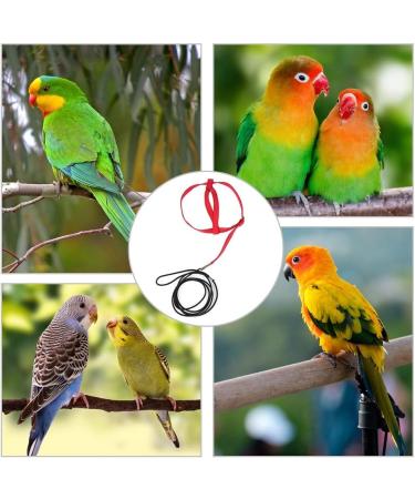 Buy Mioyoow Parrots Flight Harness - Adjustable Training Rope & Portable Bird Dishes for Small & Medium Parrots - Buy Online on GoSupps.com