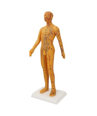 Acupuncture point body model exquisite craftsmanship high-resolution engraving PVC material practical accessories a stable basis for traditional acupuncture training and exercises