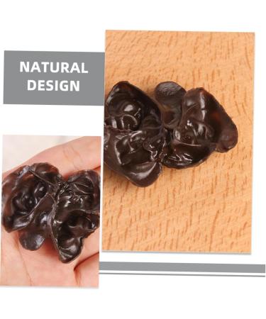 COOPHYA 15pcs Fake Vegetables Realistic Vegetables Faux Veggies Model Agarics Simulation Vegetables Agarics Props Lifelike Veggies Toy Decor Black Fungus Model Food Ornaments Pvc Dark Brown 5.00X4.20X1.00CM - Buy Online on GoSupps.com