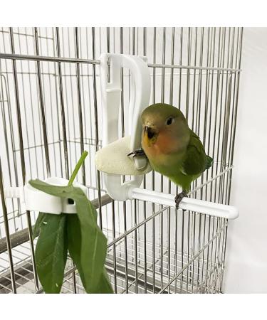 2Pcs Bird Fruit Feeder Cuttlefish Clip Pet Parrot Feeding Dispenser Clip Fruit Vegtable Cuttlefish Bone Clamp for Bird Hamster Cockatiel Parakeet Parrot Pet Critter Cage - Buy Online on GoSupps.com