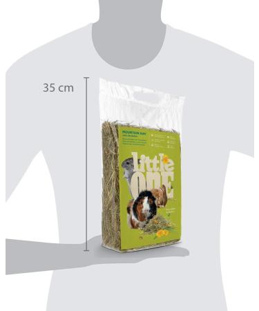 Little One Mountain Meadow Hay with Dandelion - 400g Pack | Premium Rabbit & Small Animal Food - Buy Online on GoSupps.com